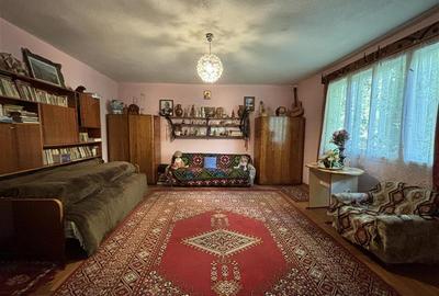 FILM! Casa traditionala,teren 3.274 mp, anexe,foisor,potential turistic,Bistra M - 4