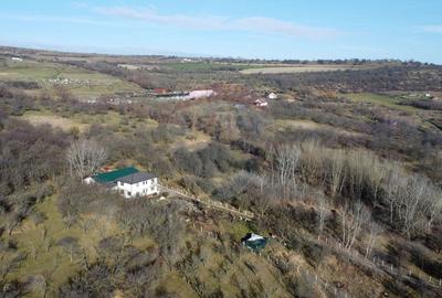 Teren 20.146 mp Dâmbu Rotund (Lomb).Extravilan.Potențial rezidențial - 12