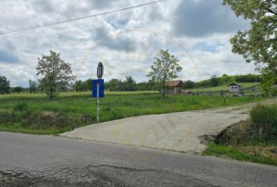 Teren intravilan Ardud Vii Satu Mare - 2