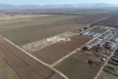 Parcele pentru Constrctii / Utilitati / Zona Proxim - 8