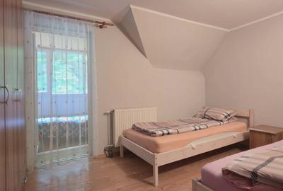 Casă/Pensiune,două imobile „într-unul singur” de vânzare,Bratca-CV0524 - 11