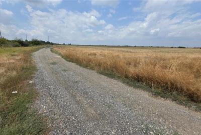 Oferta unica teren industrial 22.500 m Magurele Centura  Bucuresti - 4