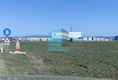 Teren 50.000 Mp, Brasov-Halciu - 2