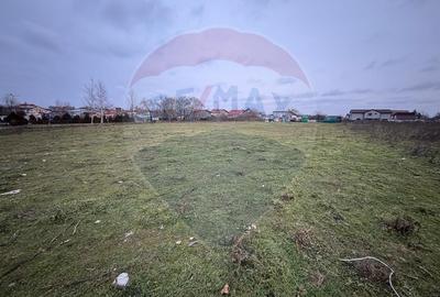 Investiție Sector 5: 2.819 mp | P+2 | Drumul Movila | Sub 100€/mp - 6