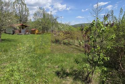 Teren cu Casuta de lemn in Sotrile (langă Valea Doftanei) - 10