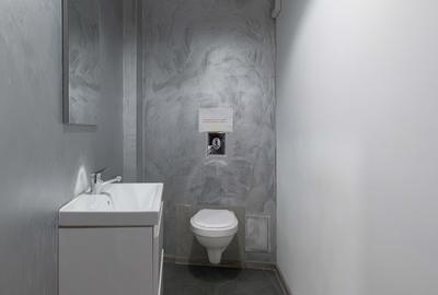 Spatiu comercial - zona Brotacei - 9