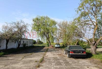 Ferma avicola inchiriere sau vanzare, localitatea Calacea - 2