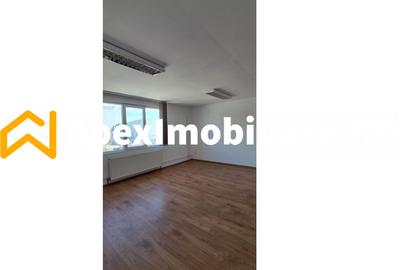 Hala Industrială Malu Rosu Ploiesti 550 mp + Birouri | Parcare 20 | Acces TIR | - 23