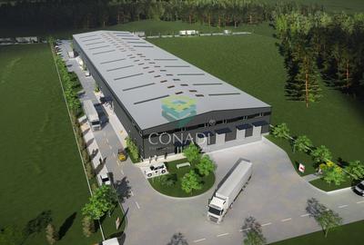 Teren de vanzare cu autorizatie pentru 2 hale - Otopeni - 10.000 mp - 6