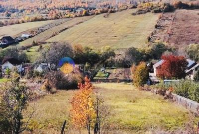 TEREN intravilan 2200 mp GÂRCINA, langa PIATRA-NEAMT - 3