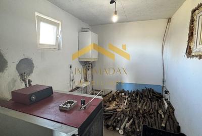 Beregsau Mare-Casa Individuala-Renovata Complet - 12