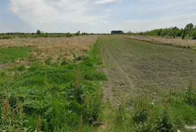 Proprietar - Teren Unicat  Peris - Intravilan - 31.100 mp - Utilitati - 4