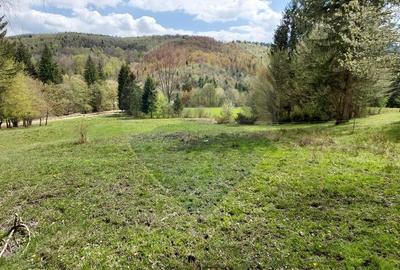 Poienita 2800mp, Covasna, zona hotel Clermont, inconjurat de padure - 20