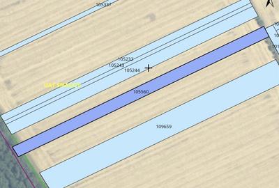 Teren intravilan 4950 mp, com Snagov-Caciulati - 1
