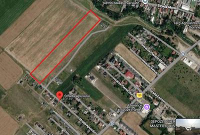 Teren agricol extravilan de 31000 mp, în Domnești
