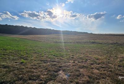1 ha teren zona Curtesti - Bucovina - 1