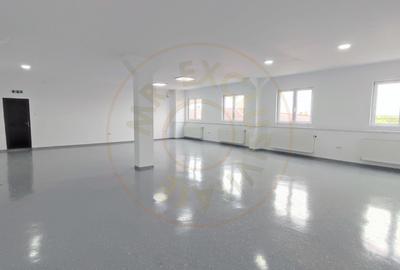 Inchiriere Spatii de Birouri/Productie - Str. Uzinei - Carei - Comision 0% - 2