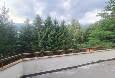 Complex turistic de vanzare  - Zona Poiana Tapului - 54