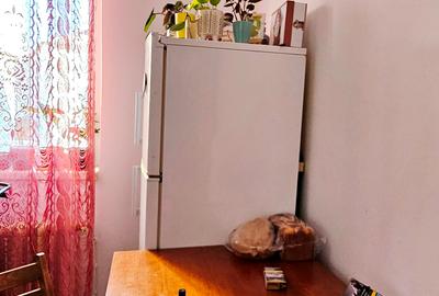 Apartament 1 camera, etaj 3, mobilat si utilat, cartier Lenin - 7