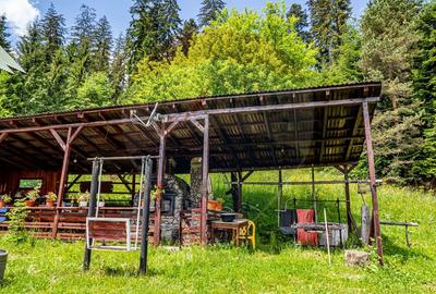 Vila / Pensiune cu 20 camere de vânzare în Câmpulung Moldovenesc, SV - 18