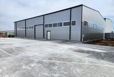 Pantelimon hala noua 500 mp - 1