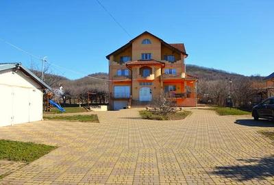 Vanzare Vila spactaculoasa cu teren generos in Targoviste - Aninoasa. - 4