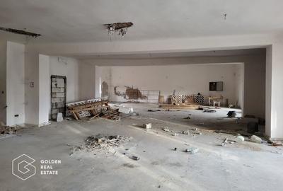 Proprietate tip conac, teren 4468 mp, oras Lipova - 6