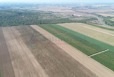 Teren intravilan de vanzare, 66400 mp, langa Oradea, Bihor - 9