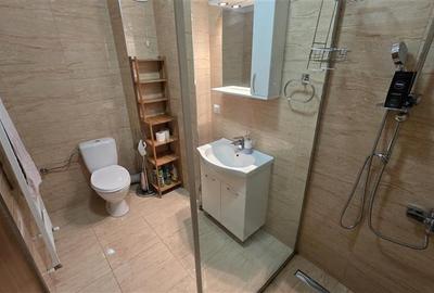 Apartament 2 camere 50mp, terasa 12.22mp, Centru, zona NTT DATA - 6