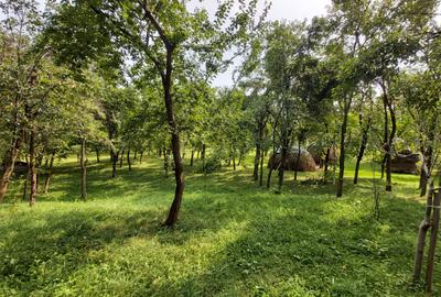 Teren Construcții intravilan de 6000 mp, în Breaza