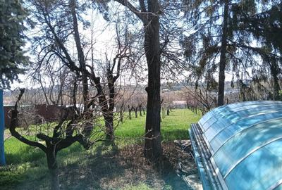 Casa interbelica, renovata total, centrul Perisului, cu vedere la lacul Cocioc - 2