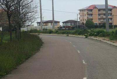 Teren 17.000mp Costinesti - zona Manastire - 100 euro/mp (Cod E2) - 4