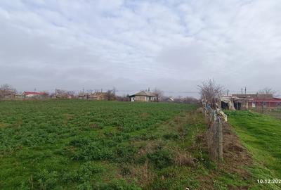 Teren pretabil Investitie in Comuna Daieni Bratul Macin Dunarea Veche Ostrov - 9