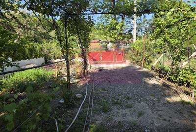 Casa de vanzare cu 5 camere în Mislea - 25