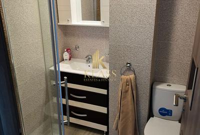 Inchiriere apartament 2 camere zona Banu Manta/Victoriei - 11