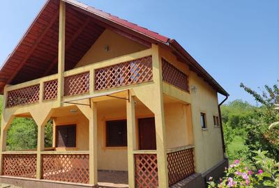 Casa individuala cu teren de 5000 mp, Deusu - 2