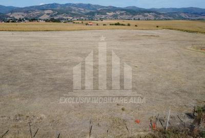 Teren pentru contructii industriale | Hale, Depozite| aproape de Sebes - 5
