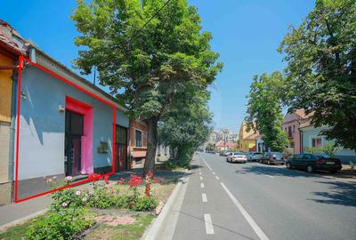 Spatiu comercial de inchiriat in zona Costaforu, Centru Civic - 1