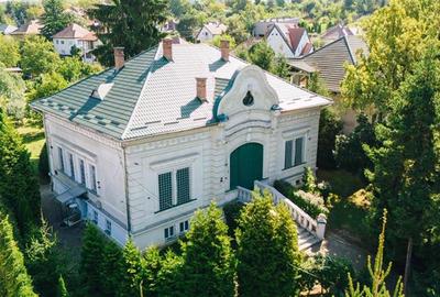 Vila in stil Art Nouveau (Targu Mures, str. Alexandru Papiu Ilarian) - 2