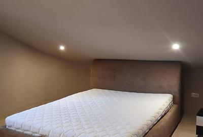 Apartament 2 camere de inchiriat Lujerului - 6
