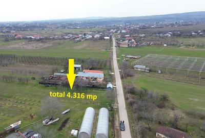 Teren intravilan 1.308mp + 3.008mp extravilan in Urechesti de vanzare - 3