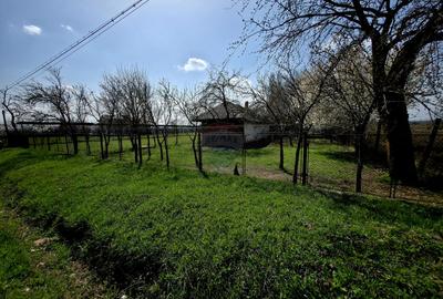 Spațiu industrial de 400mp de vânzare - 13