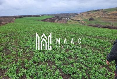 Teren agricol extravilan de 20500 mp, în Exterior Est