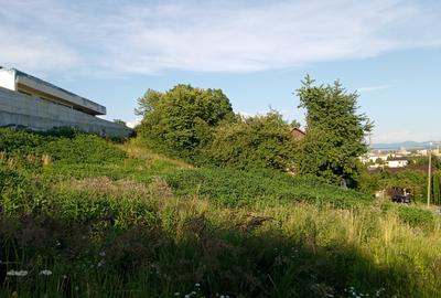 Teren 1813 mp Baia Mare - 2
