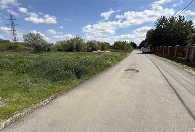Gheraiesti - str. Arinilor - 1.000mp - 4
