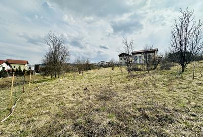 Comision 0%  Teren în Cartierul Europa | Proiect 3 case cuplate - 1