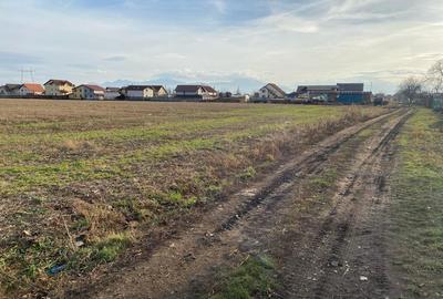 Parcele de teren Halchiu, Puz - 1