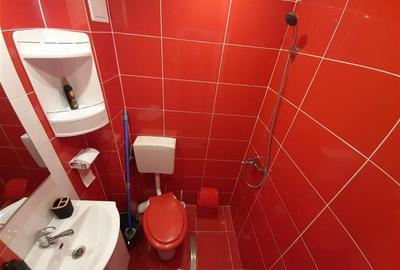 Garsoniera de inchiririat zona Alunisului Tulcea - 6