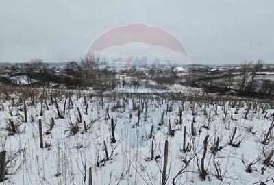 Teren intravilan 7000 mp Simnic, Izvor - 1