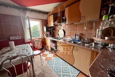 Apartament cu 2 camere de vanzare, centrala, zona Soarelui, Timisoara - 5